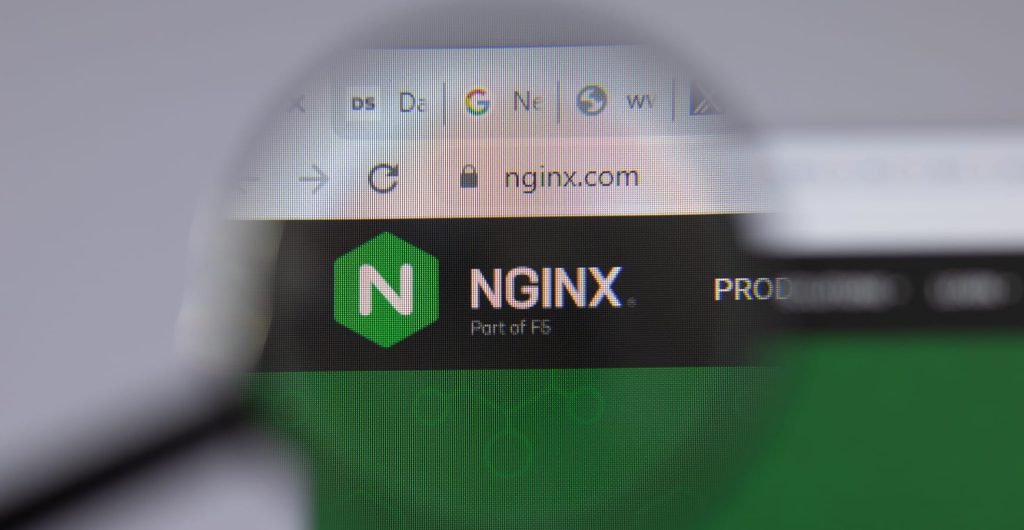 Nginx proxy pass manager: как выполнить настройку? - Troywell VPN